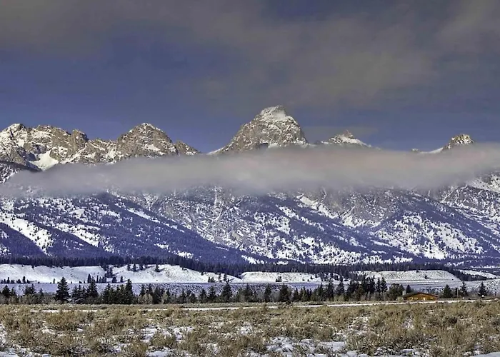 Moose Creek Wilson