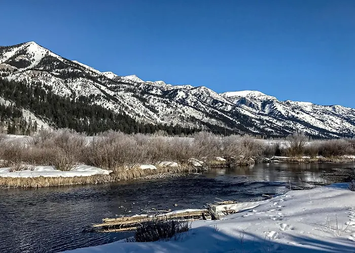 Moose Creek